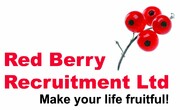 Red Berry Recruitment